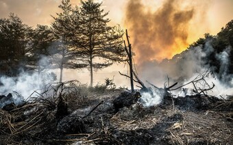 Оценка ущерба после стихийного бедствия в Кургане: отчет оценщика